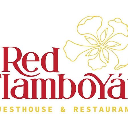 Red Flamboyan Guesthouse And Restaurant Ринкон Экстерьер фото