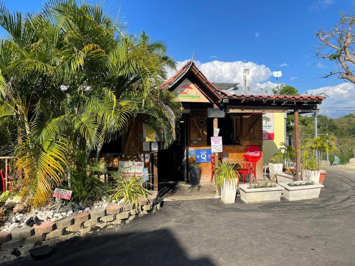 Red Flamboyan Guesthouse And Restaurant Ринкон Экстерьер фото